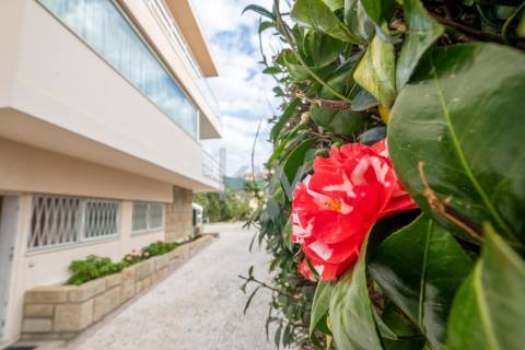 Moradia na Foz com três pisos, três frentes, vistas desafogadas, construção Ferreira dos Santos. 