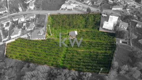 Excelente Terreno 13.600 m2 com PIP aprovado em Sta. Maria da Feira