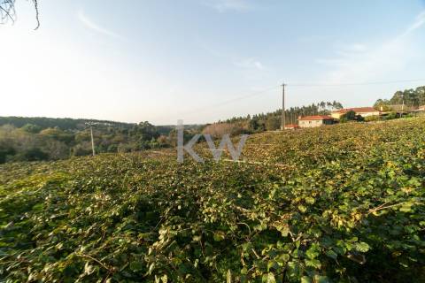 Excelente Terreno 13.600 m2 com PIP aprovado em Sta. Maria da Feira