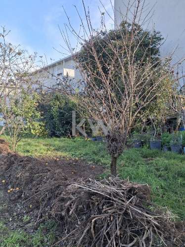 .Terreno Urbano Matosinhos 691,50m2