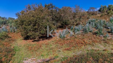 Terreno com viabilidade construtiva próximo do Gerês