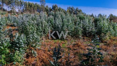 Terreno com viabilidade construtiva próximo do Gerês