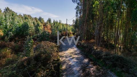 Terreno com viabilidade construtiva próximo do Gerês