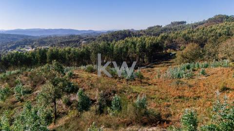 Terreno com viabilidade construtiva próximo do Gerês