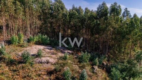 Terreno com viabilidade construtiva próximo do Gerês
