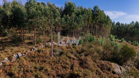 Terreno com viabilidade construtiva próximo do Gerês