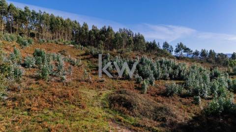 Terreno com viabilidade construtiva próximo do Gerês