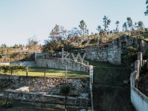 QUINTINHA COM 7.295 M2 NAS TALHADAS, SEVER DO VOUGA