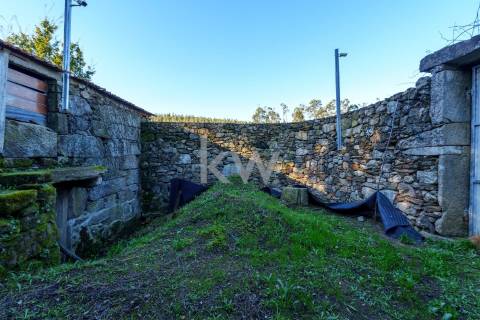 QUINTINHA COM 7.295 M2 NAS TALHADAS, SEVER DO VOUGA