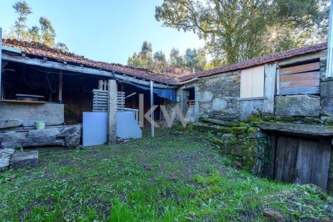 QUINTINHA COM 7.295 M2 NAS TALHADAS, SEVER DO VOUGA