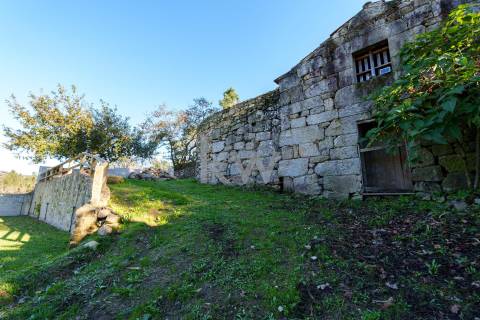 QUINTINHA COM 7.295 M2 NAS TALHADAS, SEVER DO VOUGA