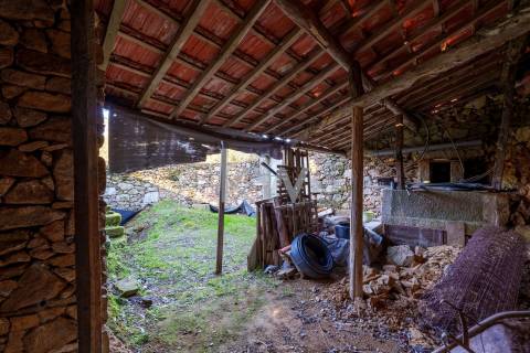 QUINTINHA COM 7.295 M2 NAS TALHADAS, SEVER DO VOUGA