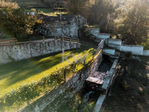 QUINTINHA COM 7.295 M2 NAS TALHADAS, SEVER DO VOUGA