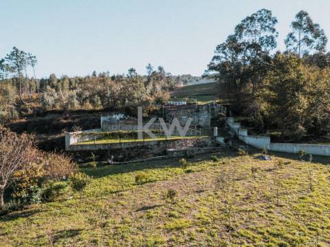 QUINTINHA COM 7.295 M2 NAS TALHADAS, SEVER DO VOUGA