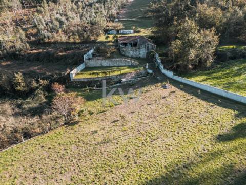 QUINTINHA COM 7.295 M2 NAS TALHADAS, SEVER DO VOUGA