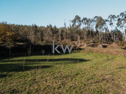 QUINTINHA COM 7.295 M2 NAS TALHADAS, SEVER DO VOUGA