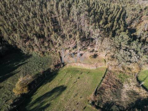 QUINTINHA COM 7.295 M2 NAS TALHADAS, SEVER DO VOUGA