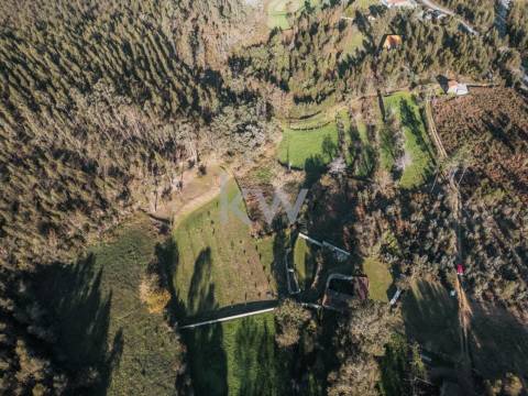 QUINTINHA COM 7.295 M2 NAS TALHADAS, SEVER DO VOUGA