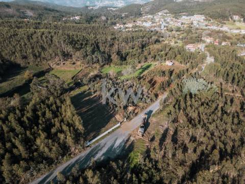 QUINTINHA COM 7.295 M2 NAS TALHADAS, SEVER DO VOUGA