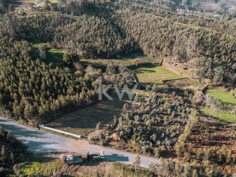 QUINTINHA COM 7.295 M2 NAS TALHADAS, SEVER DO VOUGA