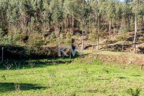 QUINTINHA COM 7.295 M2 NAS TALHADAS, SEVER DO VOUGA