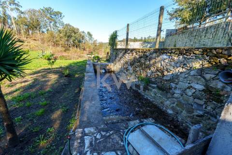 QUINTINHA COM 7.295 M2 NAS TALHADAS, SEVER DO VOUGA