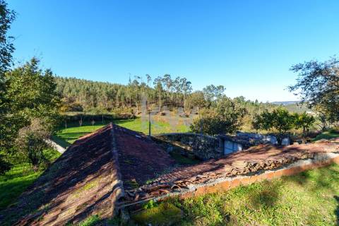 QUINTINHA COM 7.295 M2 NAS TALHADAS, SEVER DO VOUGA