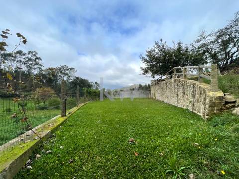 QUINTINHA COM 7.295 M2 NAS TALHADAS, SEVER DO VOUGA