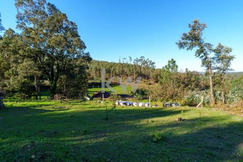 QUINTINHA COM 7.295 M2 NAS TALHADAS, SEVER DO VOUGA