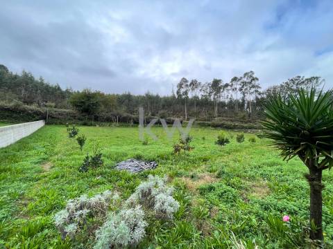 QUINTINHA COM 7.295 M2 NAS TALHADAS, SEVER DO VOUGA