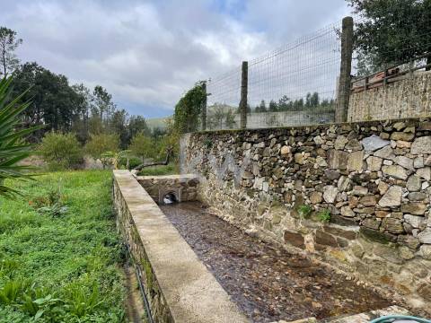 QUINTINHA COM 7.295 M2 NAS TALHADAS, SEVER DO VOUGA