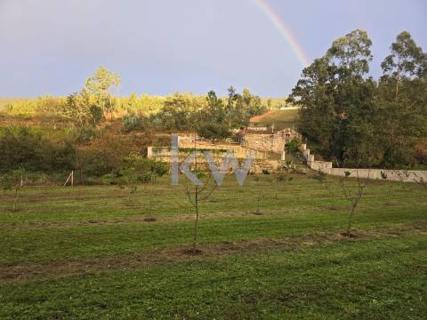 QUINTINHA COM 7.295 M2 NAS TALHADAS, SEVER DO VOUGA