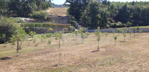 QUINTINHA COM 7.295 M2 NAS TALHADAS, SEVER DO VOUGA