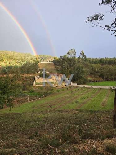 QUINTINHA COM 7.295 M2 NAS TALHADAS, SEVER DO VOUGA