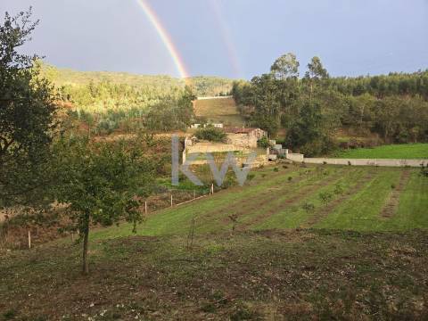 QUINTINHA COM 7.295 M2 NAS TALHADAS, SEVER DO VOUGA