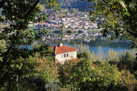Venda Quinta Cinfães com 7500 m2 excelentes vistas Douro