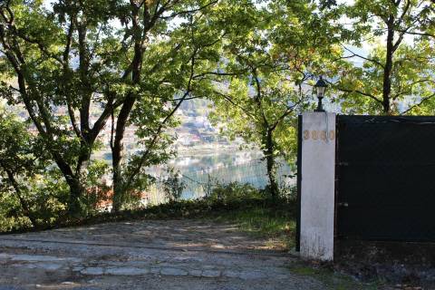 Venda Quinta Cinfães com 7500 m2 excelentes vistas Douro