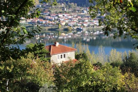 Venda Quinta Cinfães com 7500 m2 excelentes vistas Douro