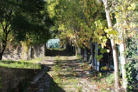 Venda Quinta Cinfães com 7500 m2 excelentes vistas Douro