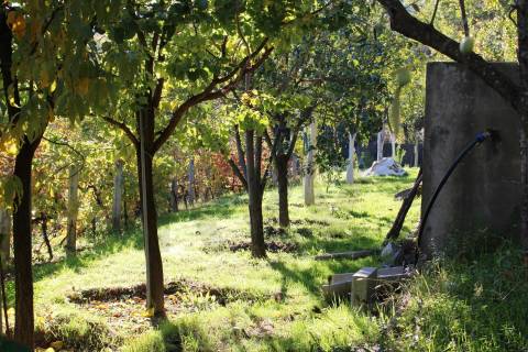 Venda Quinta Cinfães com 7500 m2 excelentes vistas Douro
