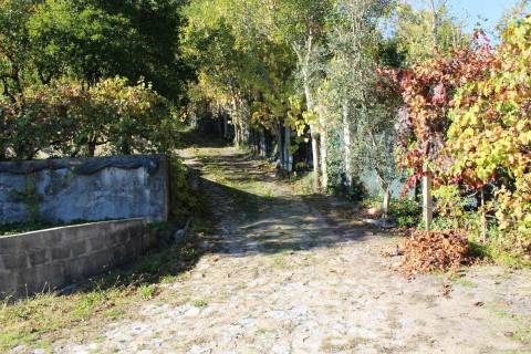 Venda Quinta Cinfães com 7500 m2 excelentes vistas Douro