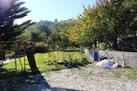 Venda Quinta Cinfães com 7500 m2 excelentes vistas Douro
