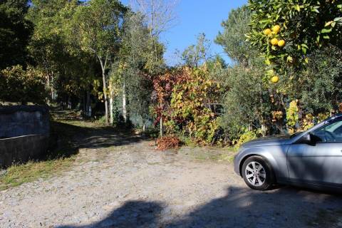 Venda Quinta Cinfães com 7500 m2 excelentes vistas Douro