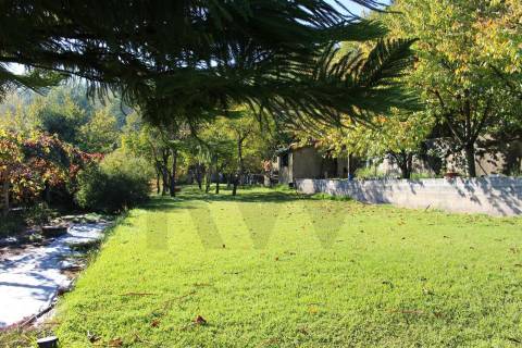 Venda Quinta Cinfães com 7500 m2 excelentes vistas Douro