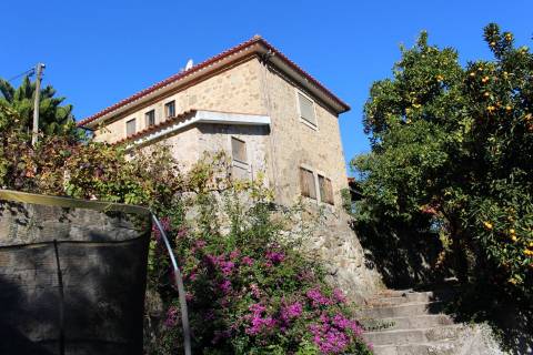 Venda Quinta Cinfães com 7500 m2 excelentes vistas Douro