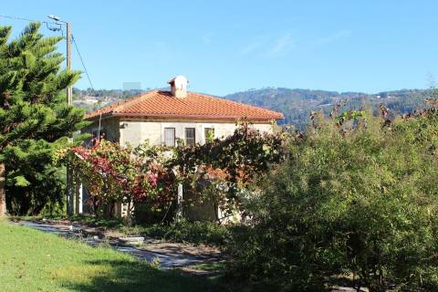 Venda Quinta Cinfães com 7500 m2 excelentes vistas Douro