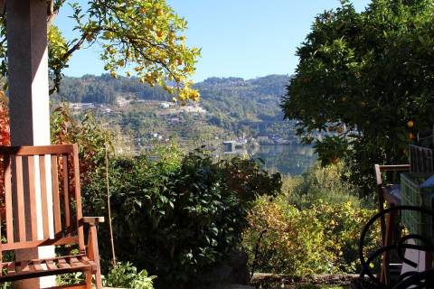 Venda Quinta Cinfães com 7500 m2 excelentes vistas Douro