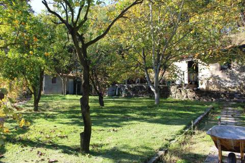 Venda Quinta Cinfães com 7500 m2 excelentes vistas Douro