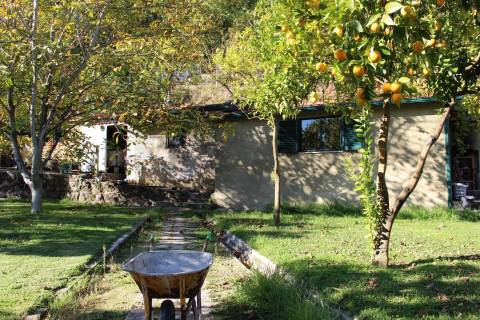 Venda Quinta Cinfães com 7500 m2 excelentes vistas Douro