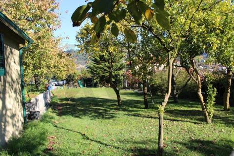 Venda Quinta Cinfães com 7500 m2 excelentes vistas Douro